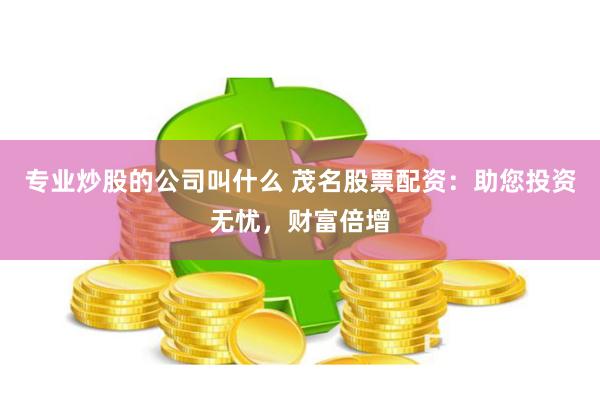 专业炒股的公司叫什么 茂名股票配资：助您投资无忧，财富倍增